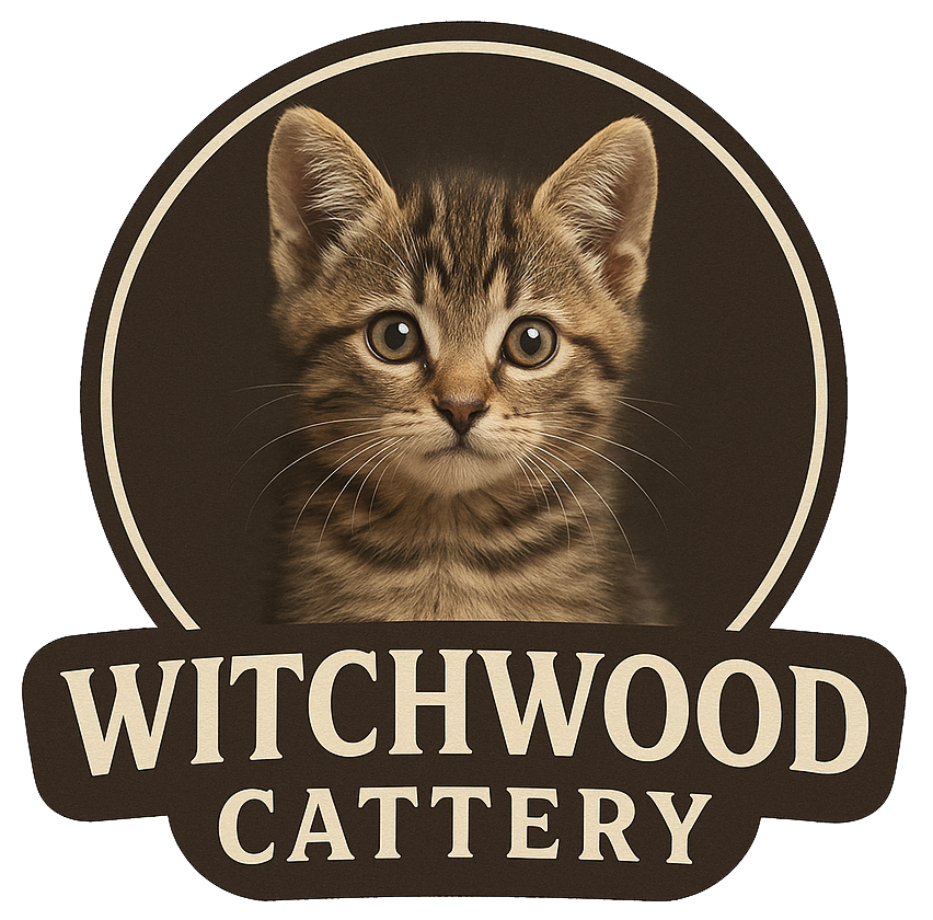 WITCHWOOD CATTERY